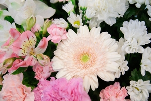 Bloemen bestellen
