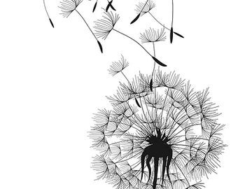 Jules DESMET Jules DESMET